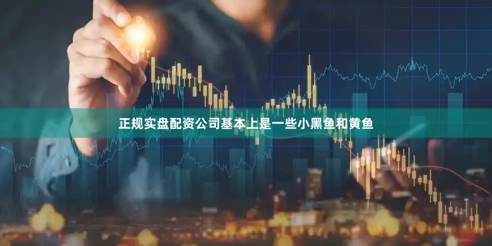 正规实盘配资公司基本上是一些小黑鱼和黄鱼