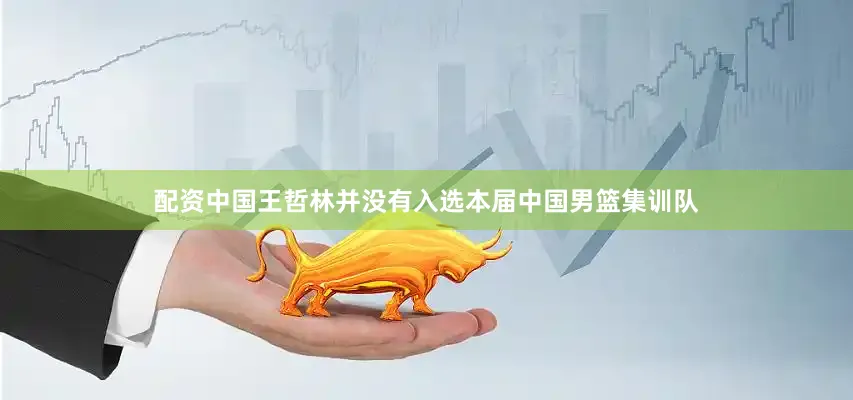 配资中国王哲林并没有入选本届中国男篮集训队