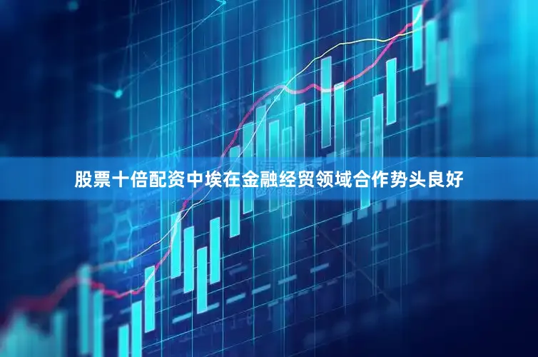 股票十倍配资中埃在金融经贸领域合作势头良好