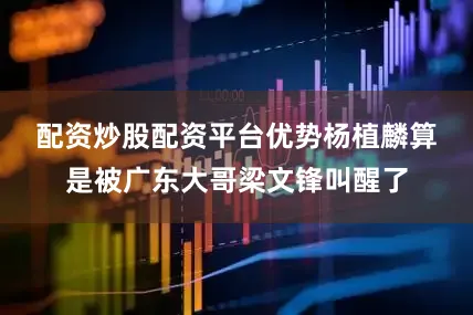 配资炒股配资平台优势　　杨植麟算是被广东大哥梁文锋叫醒了