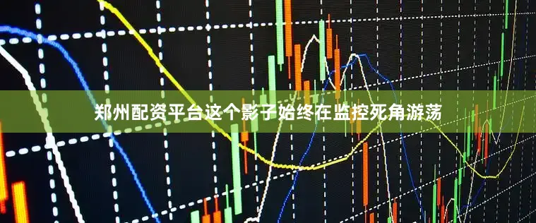 郑州配资平台这个影子始终在监控死角游荡