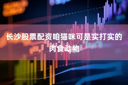 长沙股票配资咱猫咪可是实打实的肉食动物