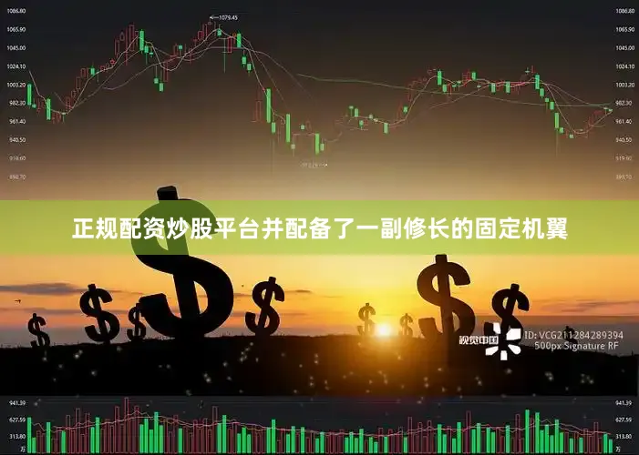 正规配资炒股平台并配备了一副修长的固定机翼